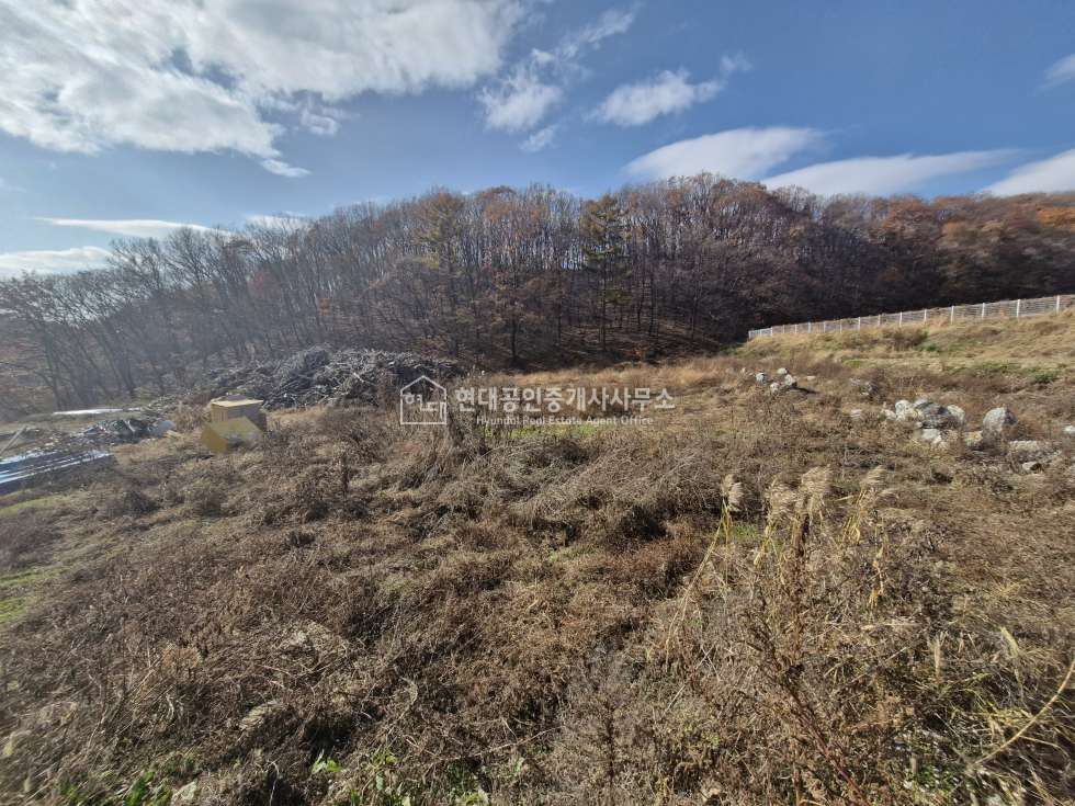 경기 용인처인구 양지면 대대리 [매매] 양지면 대대리 저렴한 근생토지 매매 매물번호 10149 사진 15