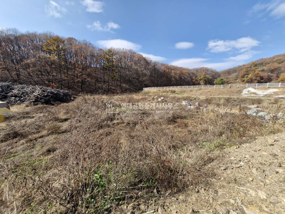 경기 용인처인구 양지면 대대리 [매매] 양지면 대대리 저렴한 근생토지 매매 매물번호 10149 사진 18