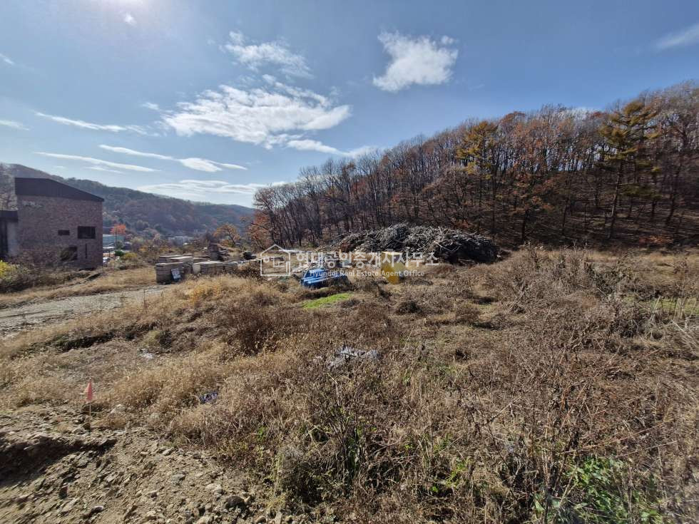 경기 용인처인구 양지면 대대리 [매매] 양지면 대대리 저렴한 근생토지 매매 매물번호 10149 사진 24